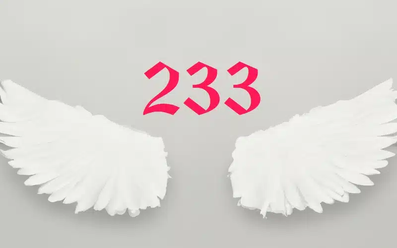  Anxo número 233: significado, significado, manifestación, diñeiro, chama xemelga e amor