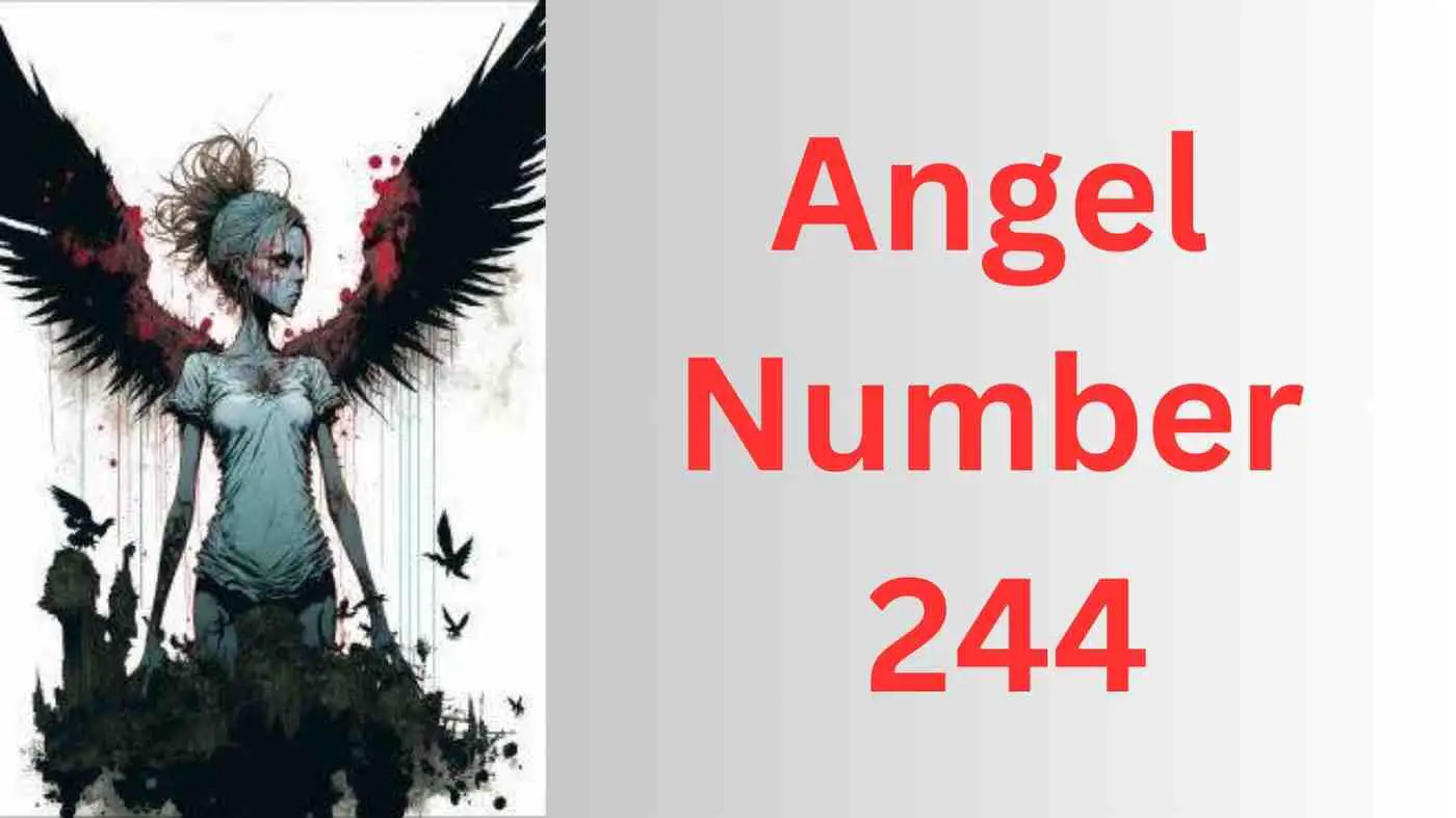  Engel Nummer 244: Bedeutung, Signifikanz, Manifestation, Geld, Zwillingsflamme und Liebe
