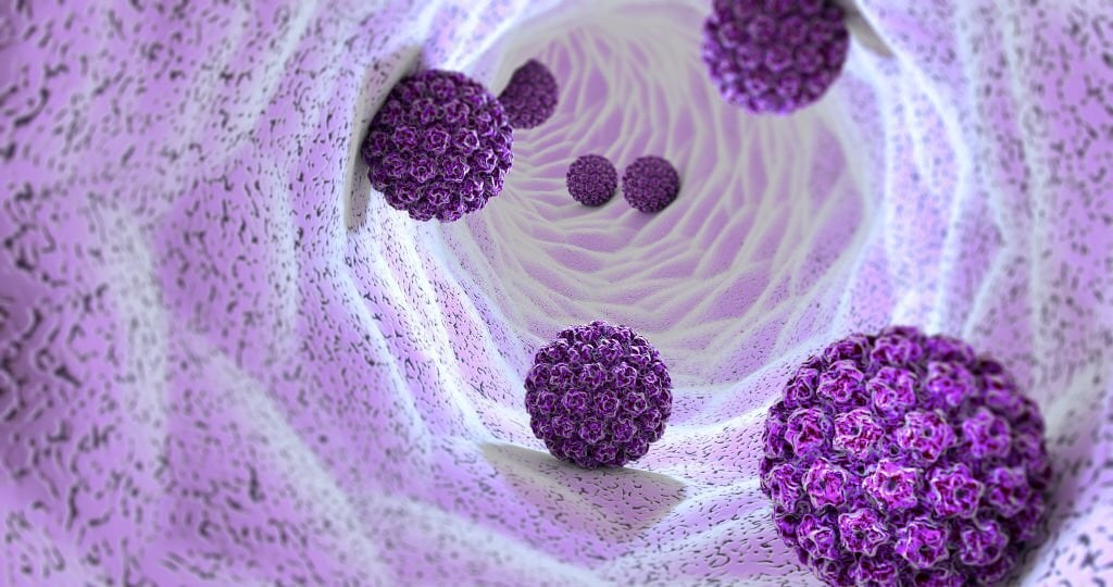  HPV എത്രത്തോളം പ്രവർത്തനരഹിതമായിരിക്കും? അപകടസാധ്യതകൾ, വസ്തുതകൾ, മിഥ്യകൾ